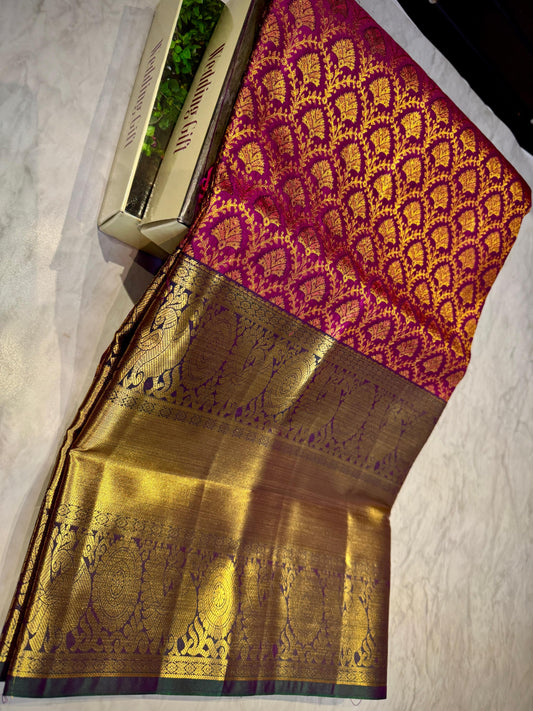 Kanchi Pattu Saree
