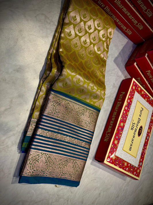 Kanchi Pattu Saree