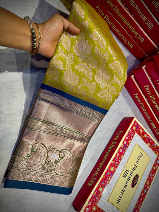 Kanchi Pattu Saree