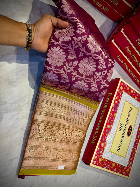 Kanchi Pattu Saree