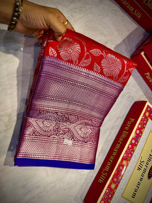 Kanchi Pattu Saree